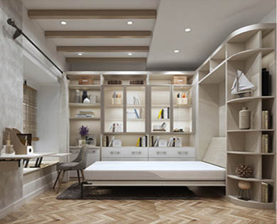 客廳/餐廳/電視柜